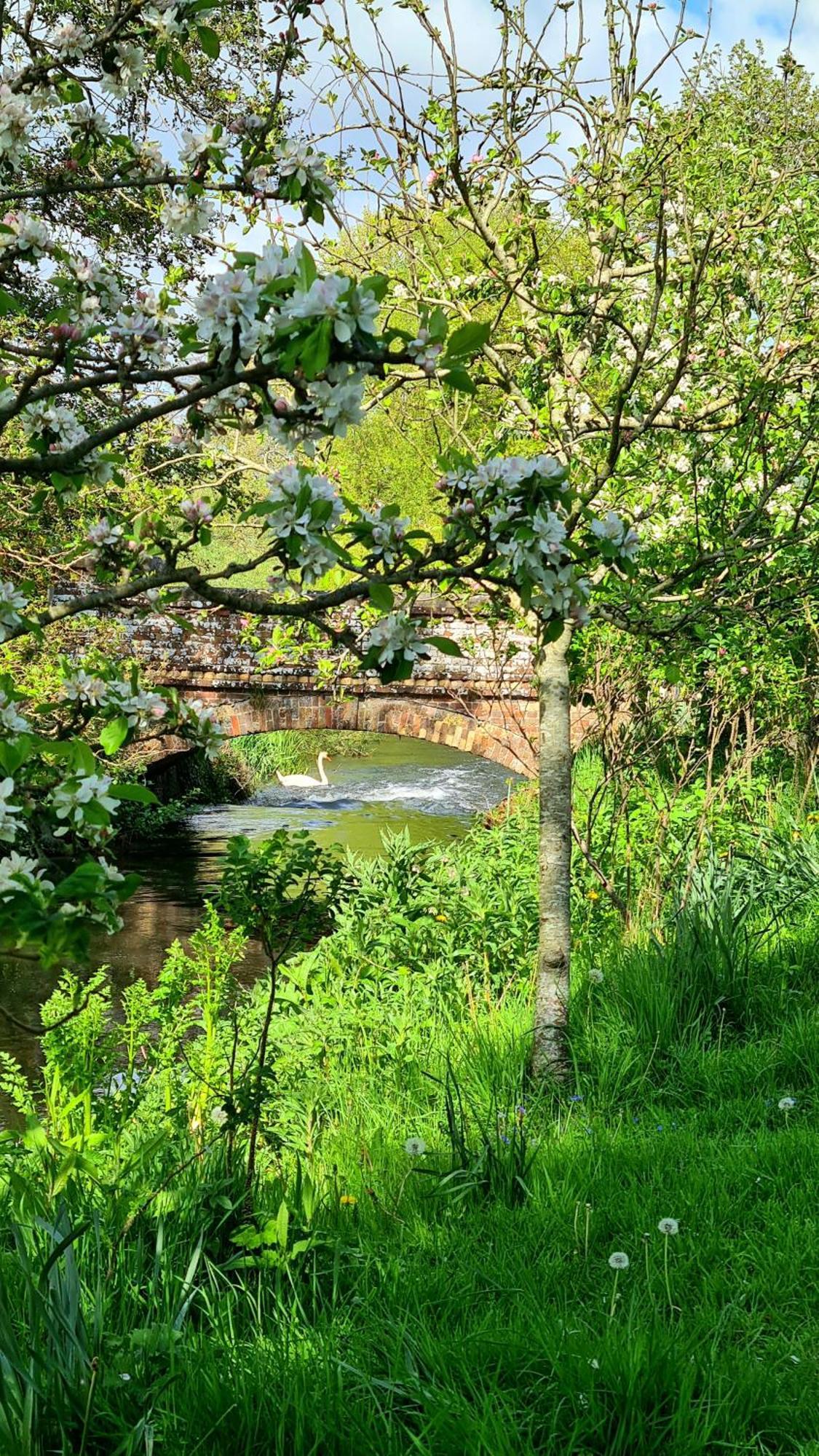 Holiday home The Hideaway - Luxury Townhouse Wareham